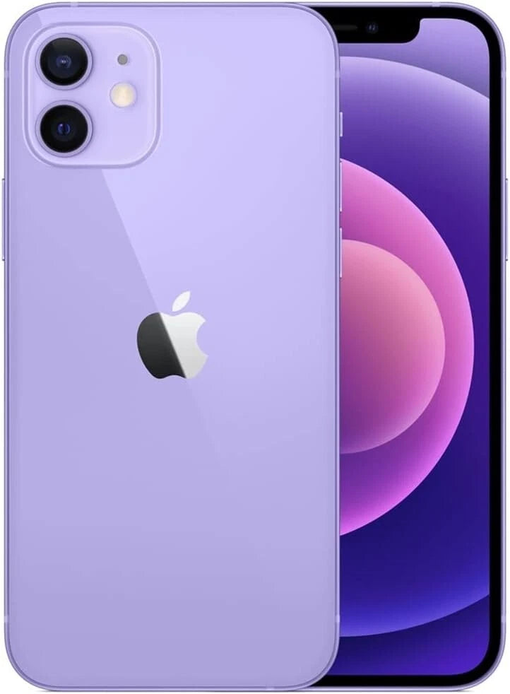 Purple back