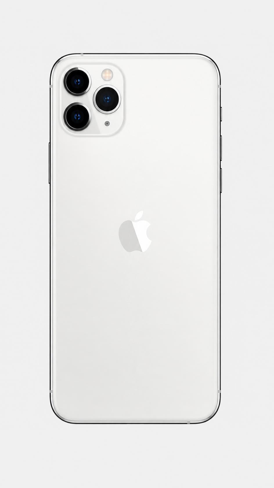 Silver back
