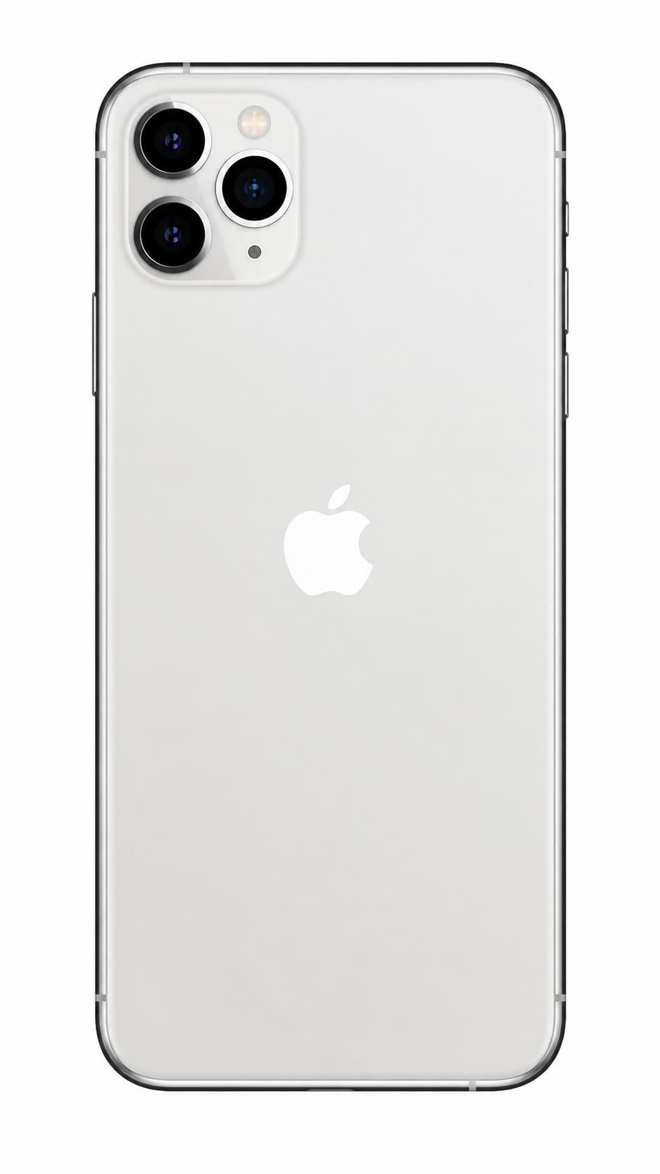 Silver back