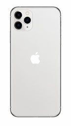 Silver back