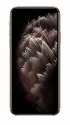 iPhone 11 Pro Max — Unlocked | Grade A