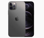 Graphite back