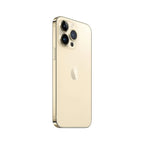 Gold back