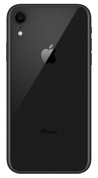 Black back